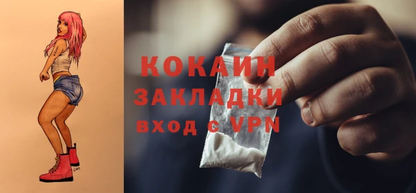не бодяженный Заводоуковск