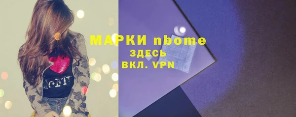 не бодяженный Заводоуковск