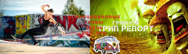 не бодяженный Заводоуковск